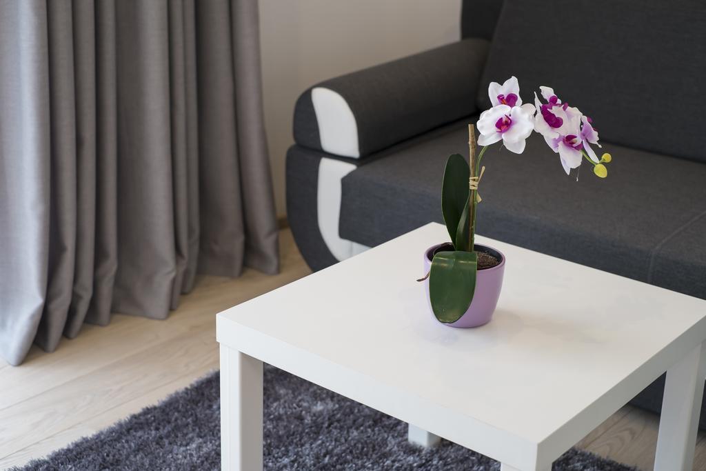 Apartamenty Comfort & Spa Stara Polana Vipapartamenty Zakopane Luaran gambar